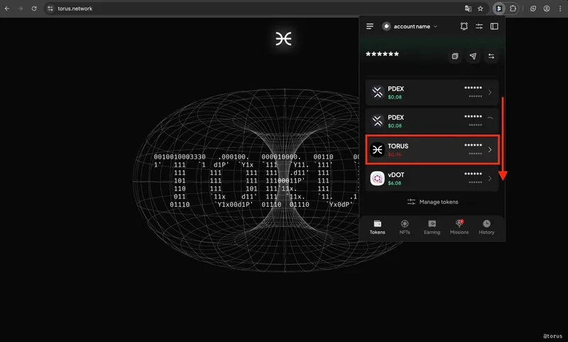 SubWallet network list with torus